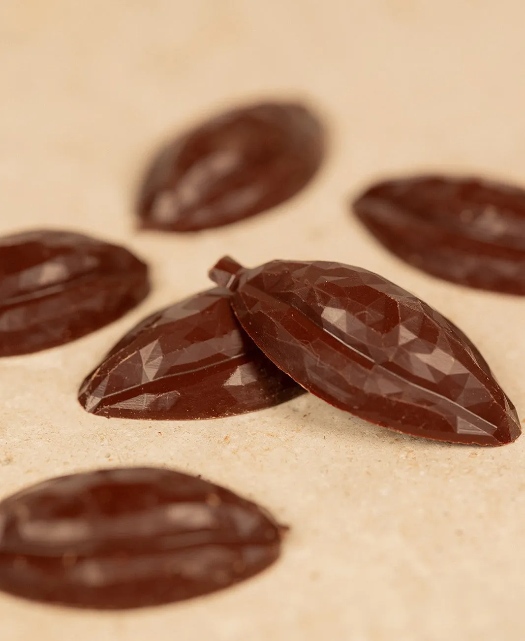 Ôme Mini Cabosses chocolat noir 76% praliné amandes
