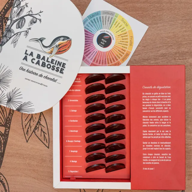 La Baleine à Cabosse coffret dégustation 10 terroirs 20 palets noir