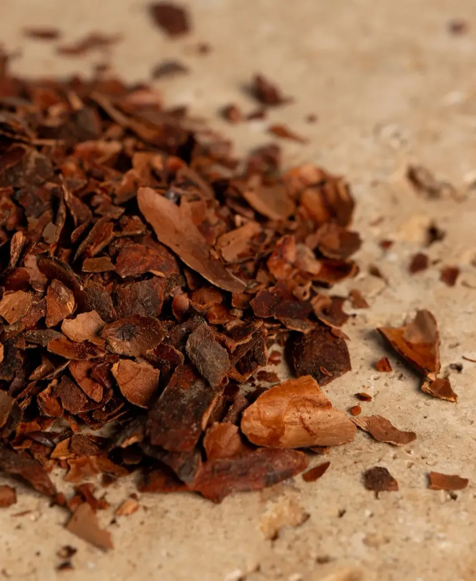 Ôme Infusion de Cacao infusion cacao sans caféine